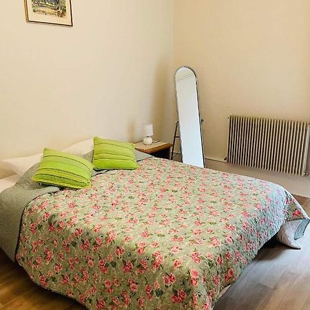 Appartement Cosy Кольмар Екстер'єр фото