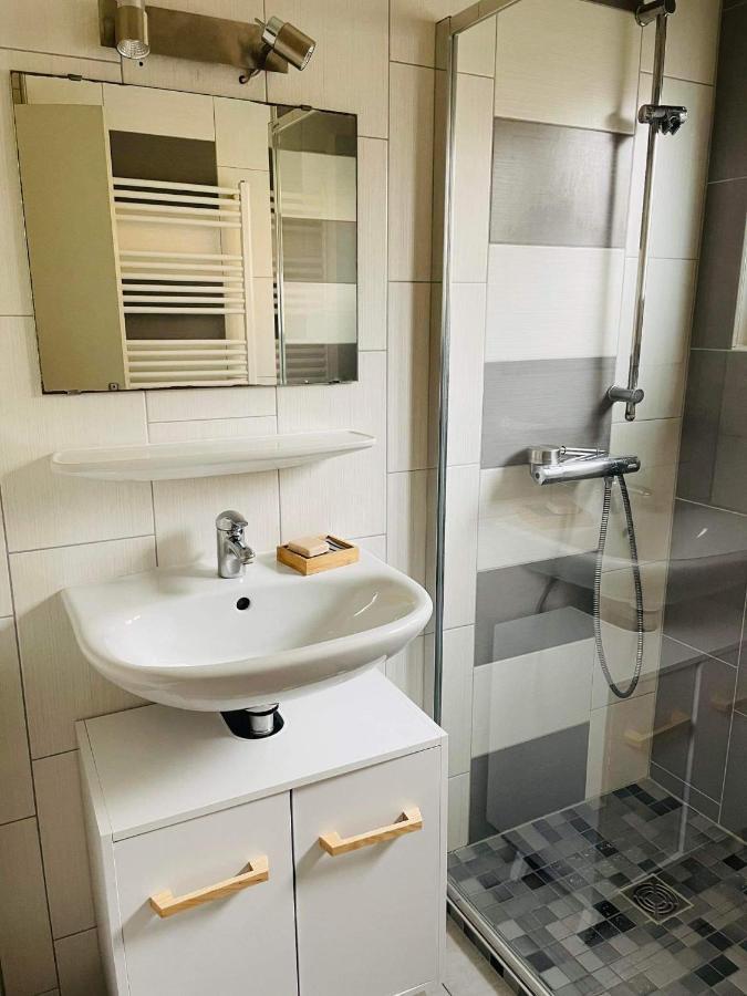 Appartement Cosy Кольмар Екстер'єр фото