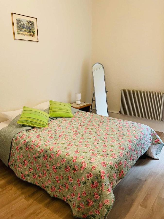 Appartement Cosy Кольмар Екстер'єр фото